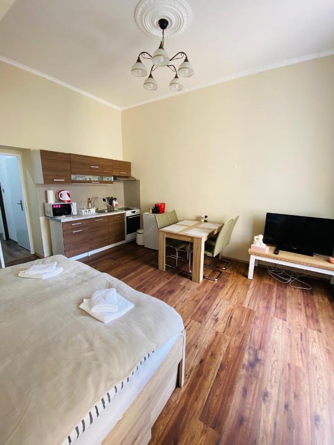 Apartman Diana Apartment Karlovy Vary Luaran gambar